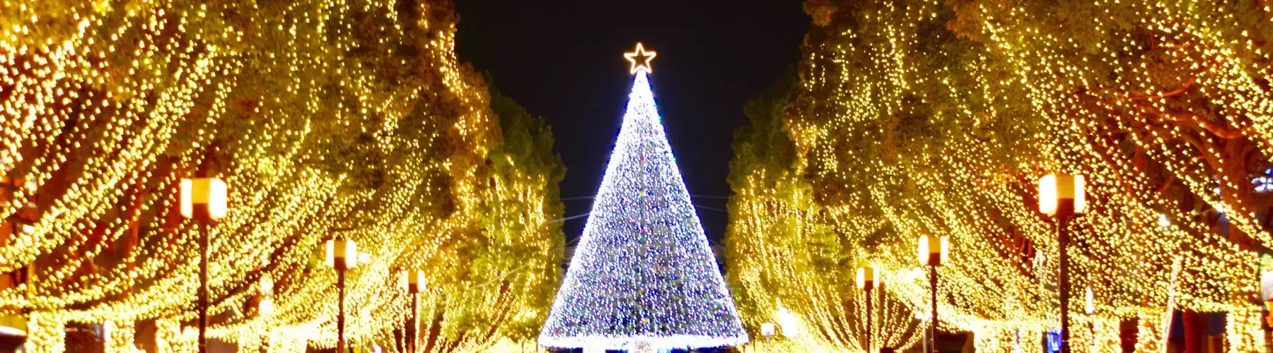 Noleggio Luminarie Vercelli