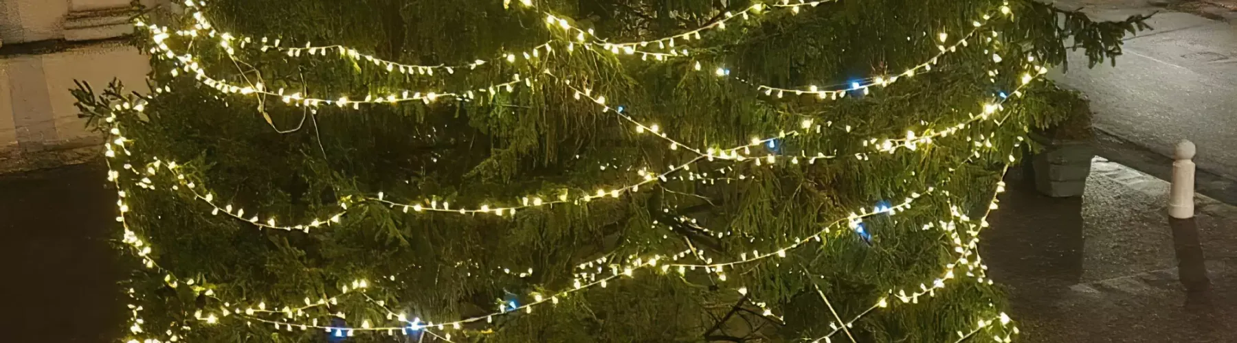 Noleggio Luminarie Novara