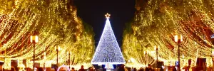 Noleggio luminarie