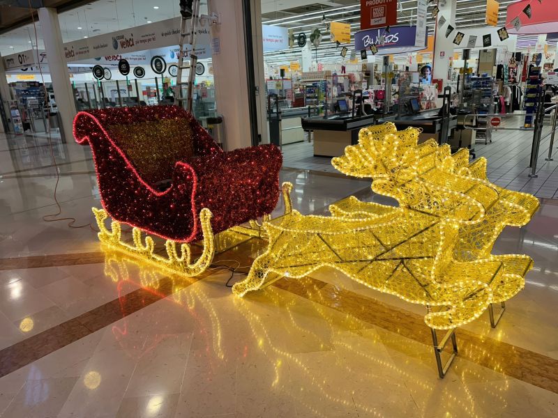 Noleggio Renne Luminose: Illumina le Tue Feste con Magia e Stile