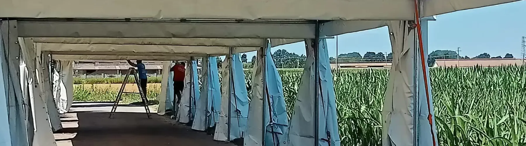 Noleggio gazebo Biella
