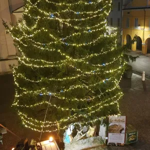 Noleggio luminarie allestimento