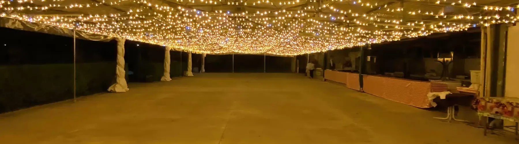 Noleggio Luminarie Bologna